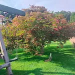 Fonte Da Arrigada Διαμέρισμα *