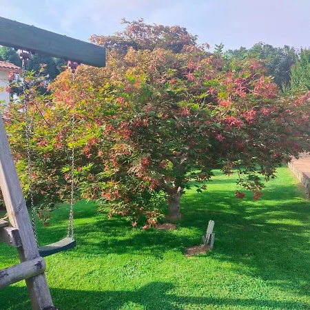 Arrigada Apartment *